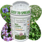 Bee Lawn Seed Kit - Easy Spread Shaker