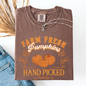 Farm Fresh Pumpkins, Hand Picked, Halloween, Fall, Autumn, Farm, Comfort Colors T-Shirt