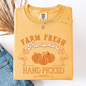 Farm Fresh Pumpkins, Hand Picked, Halloween, Fall, Autumn, Farm, Comfort Colors T-Shirt