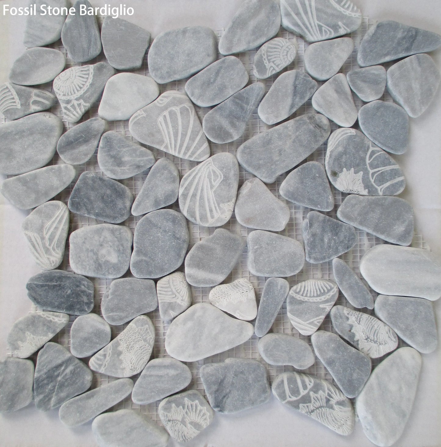 Fossil Stone Pebble Mosaic