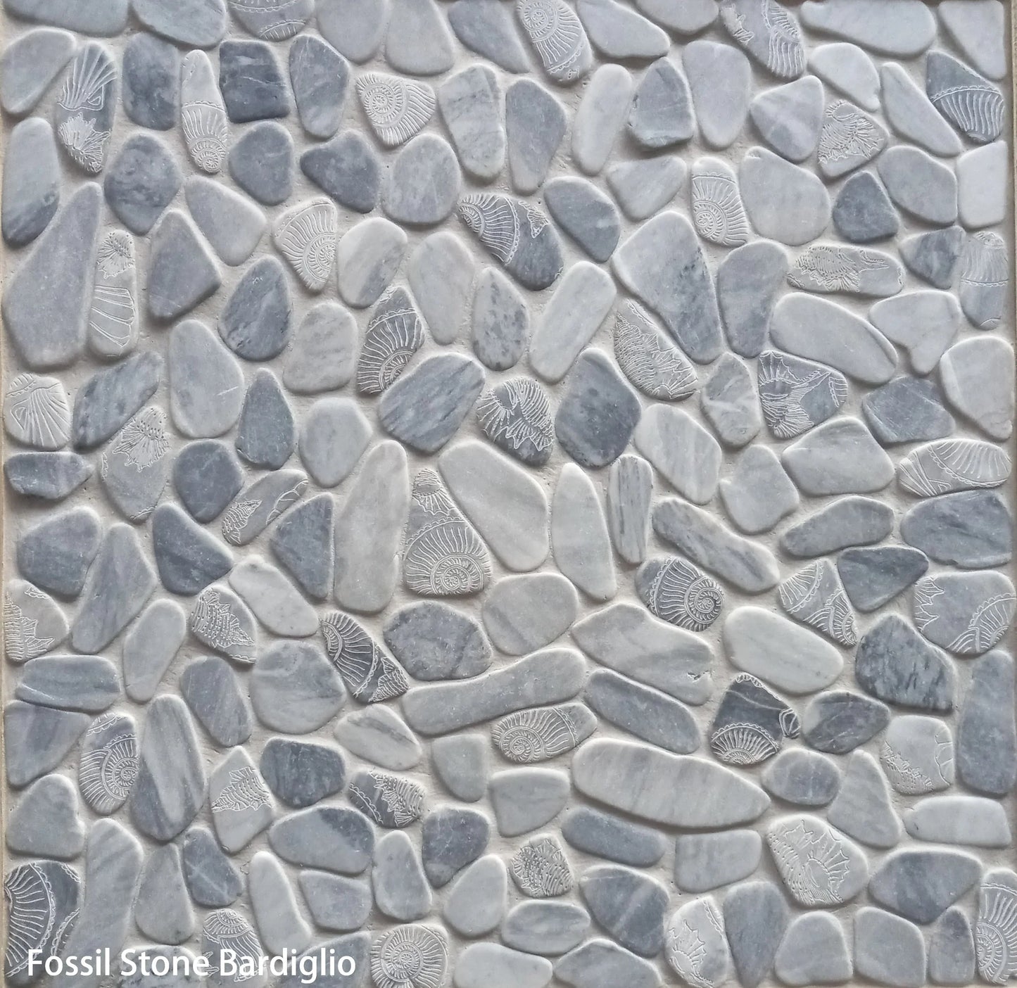 Fossil Stone Pebble Mosaic