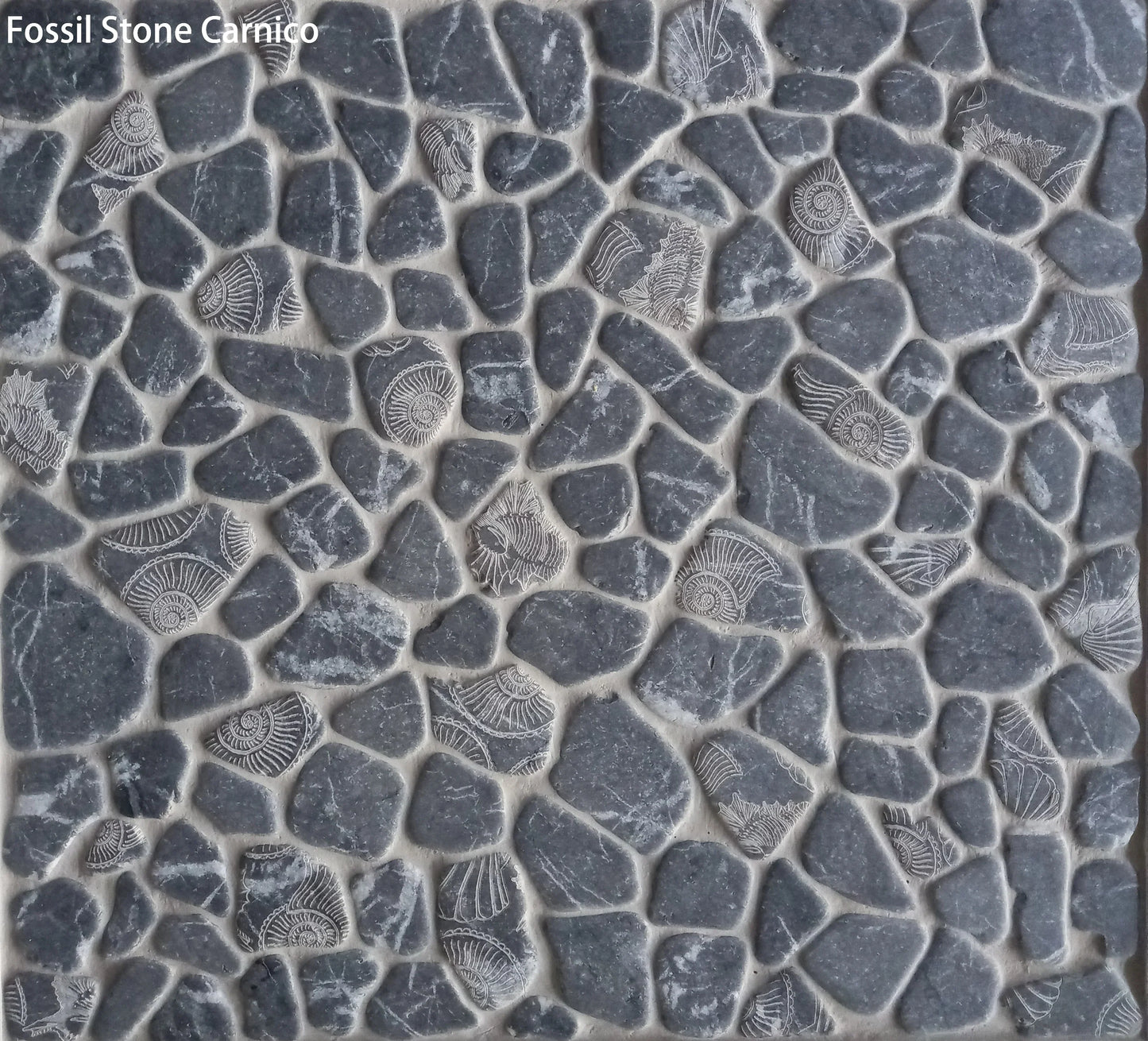Fossil Stone Pebble Mosaic