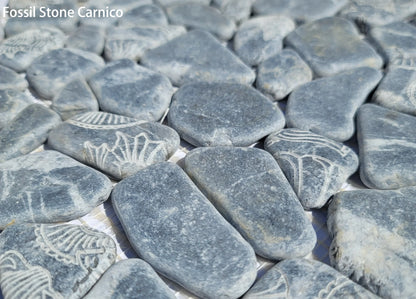Fossil Stone Pebble Mosaic