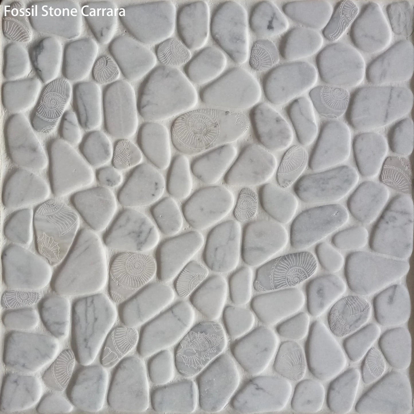 Fossil Stone Pebble Mosaic