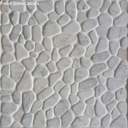Fossil Stone Pebble Mosaic