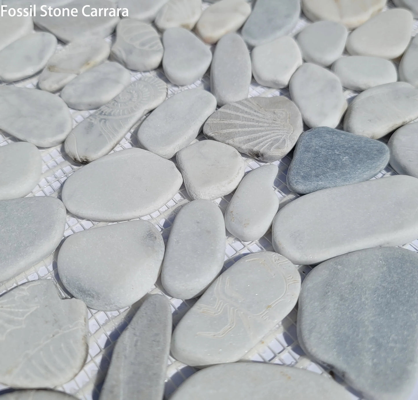Fossil Stone Pebble Mosaic