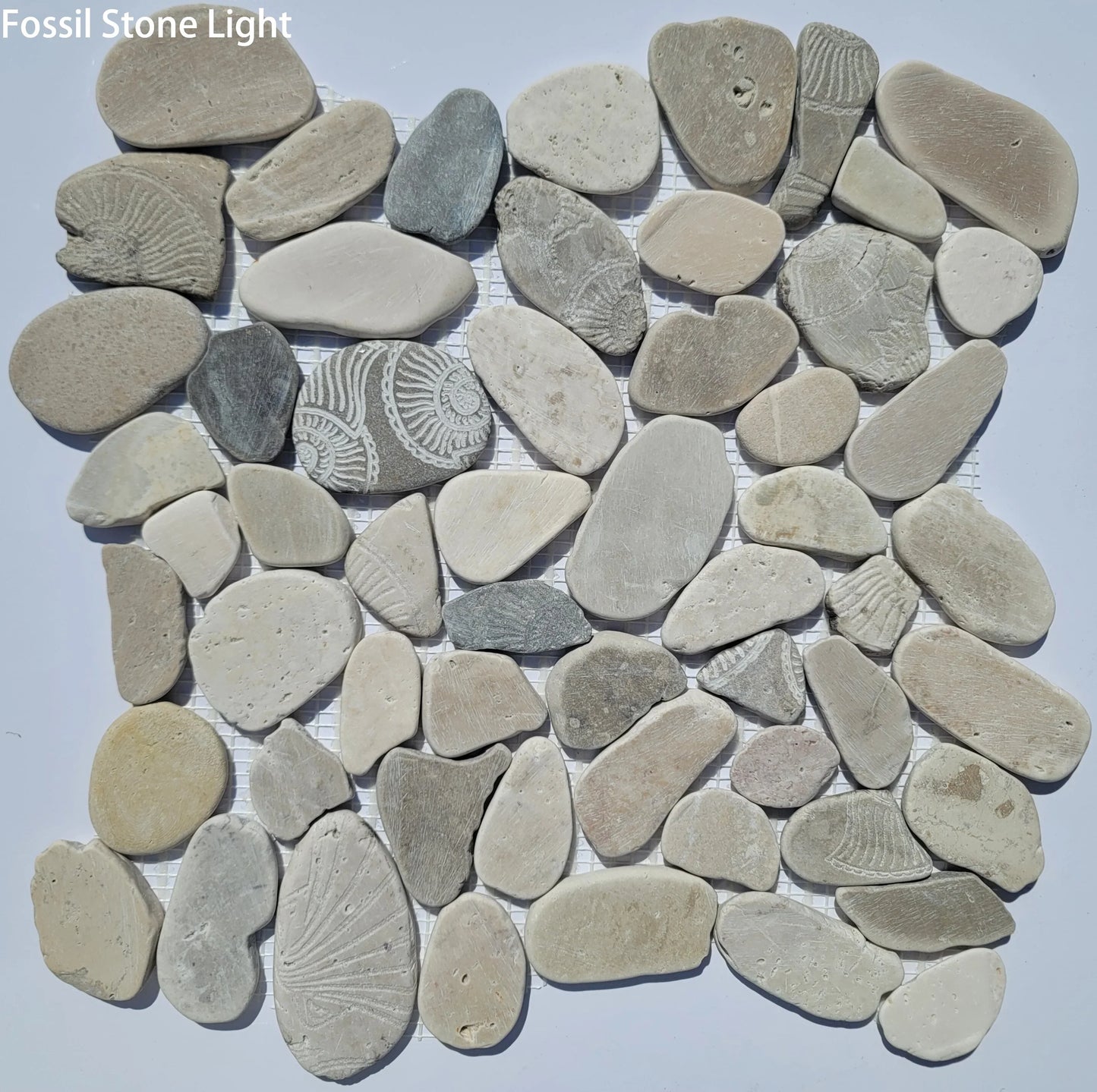 Fossil Stone Pebble Mosaic