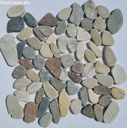 Fossil Stone Pebble Mosaic