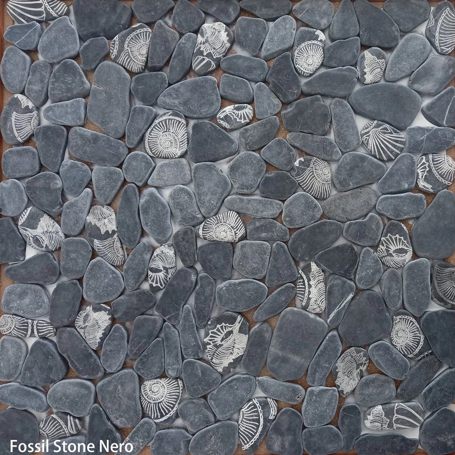 Fossil Stone Pebble Mosaic
