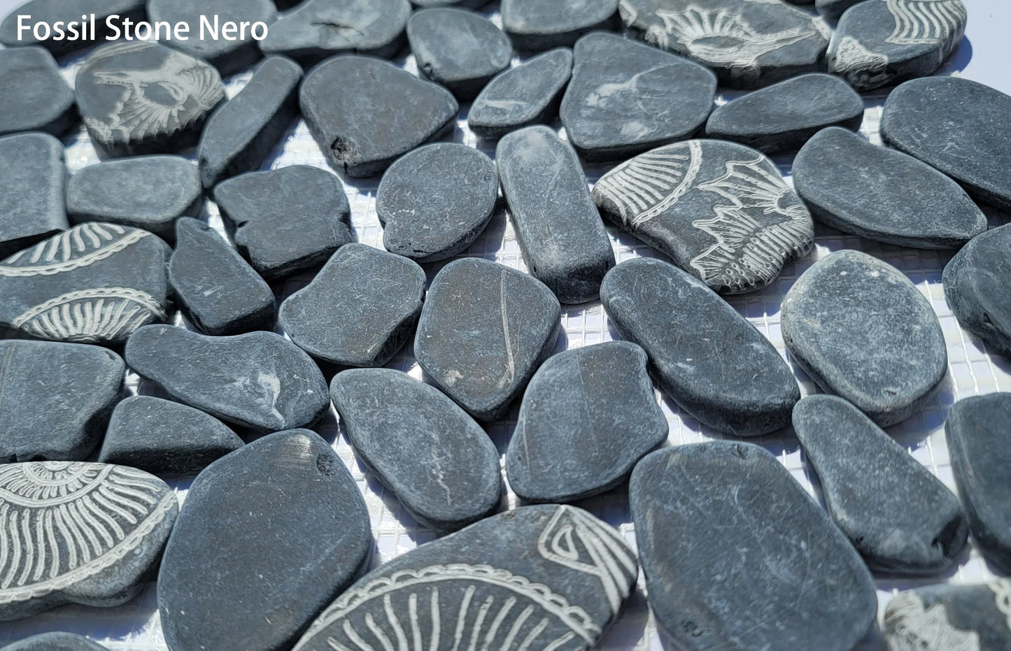 Fossil Stone Pebble Mosaic