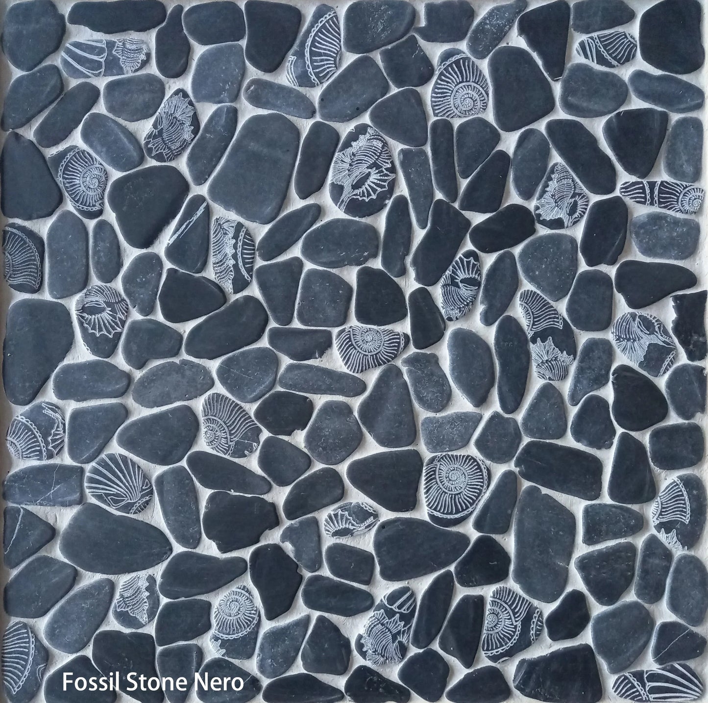 Fossil Stone Pebble Mosaic