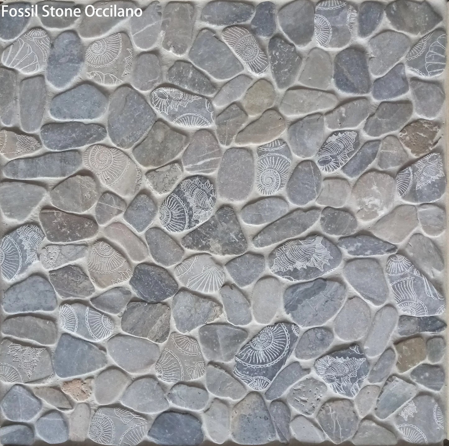 Fossil Stone Pebble Mosaic