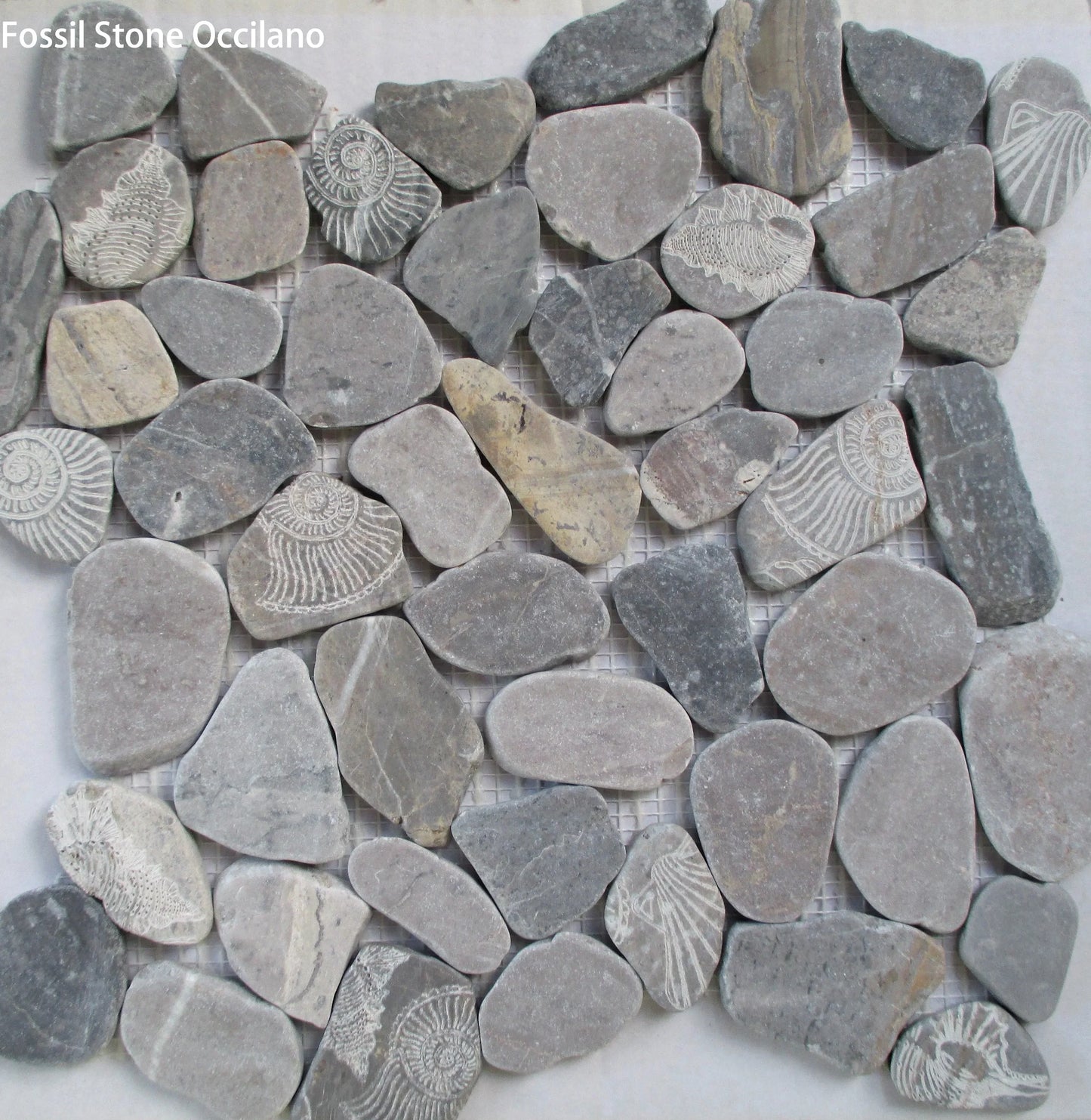 Fossil Stone Pebble Mosaic