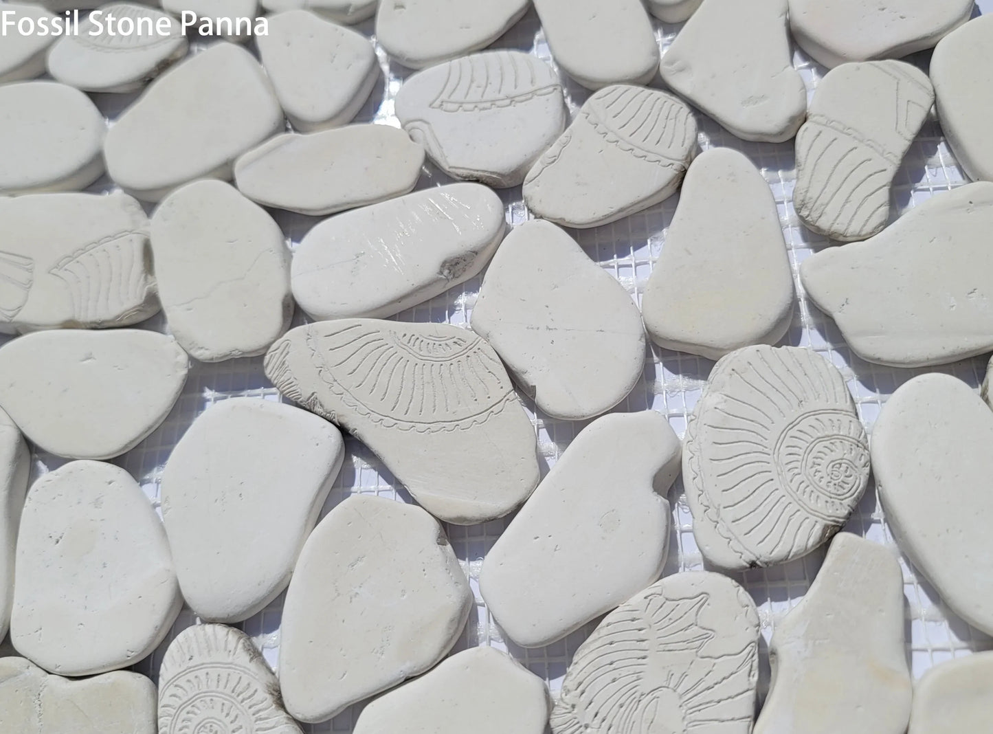 Fossil Stone Pebble Mosaic