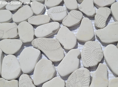 Fossil Stone Pebble Mosaic