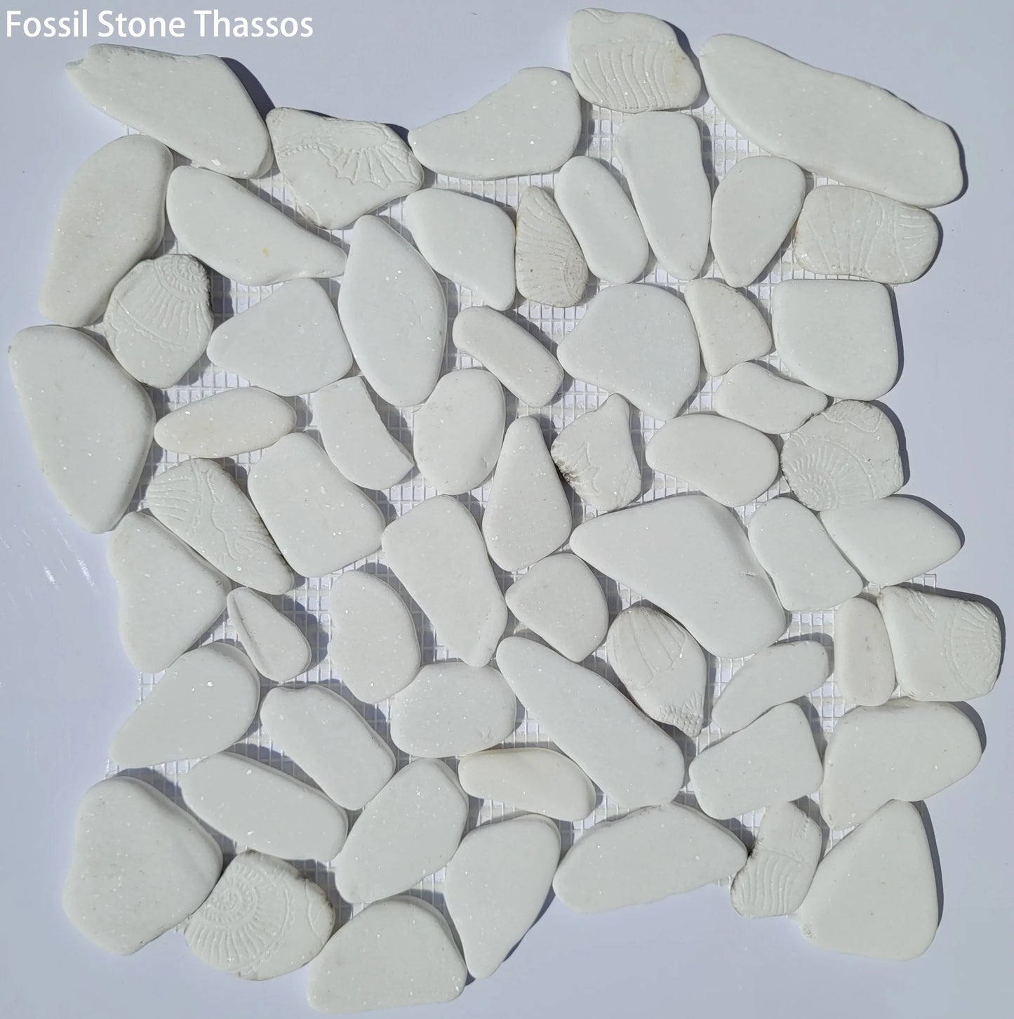 Fossil Stone Pebble Mosaic