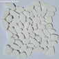 Fossil Stone Pebble Mosaic