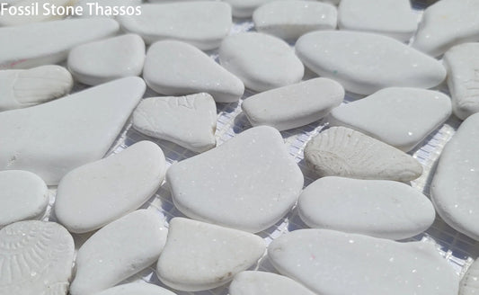 Fossil Stone Pebble Mosaic