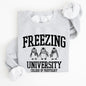 Freezing University, Funny, Penguins, Winter, Cold Sweatshirt