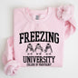 Freezing University, Funny, Penguins, Winter, Cold Sweatshirt