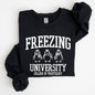 Freezing University, Funny, Penguins, Winter, Cold Sweatshirt