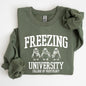 Freezing University, Funny, Penguins, Winter, Cold Sweatshirt