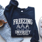 Freezing University, Funny, Penguins, Winter, Cold Sweatshirt
