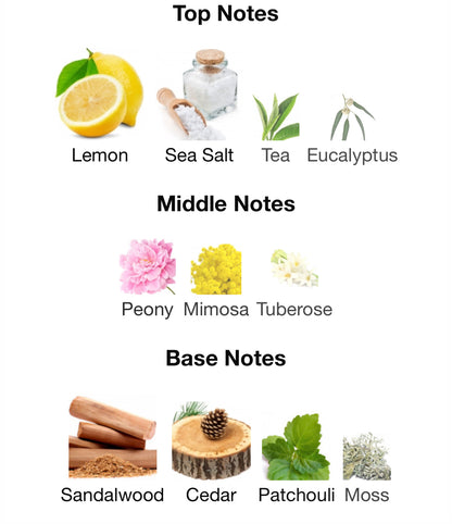 Pacific Rock Flower by Goldfield & Banks