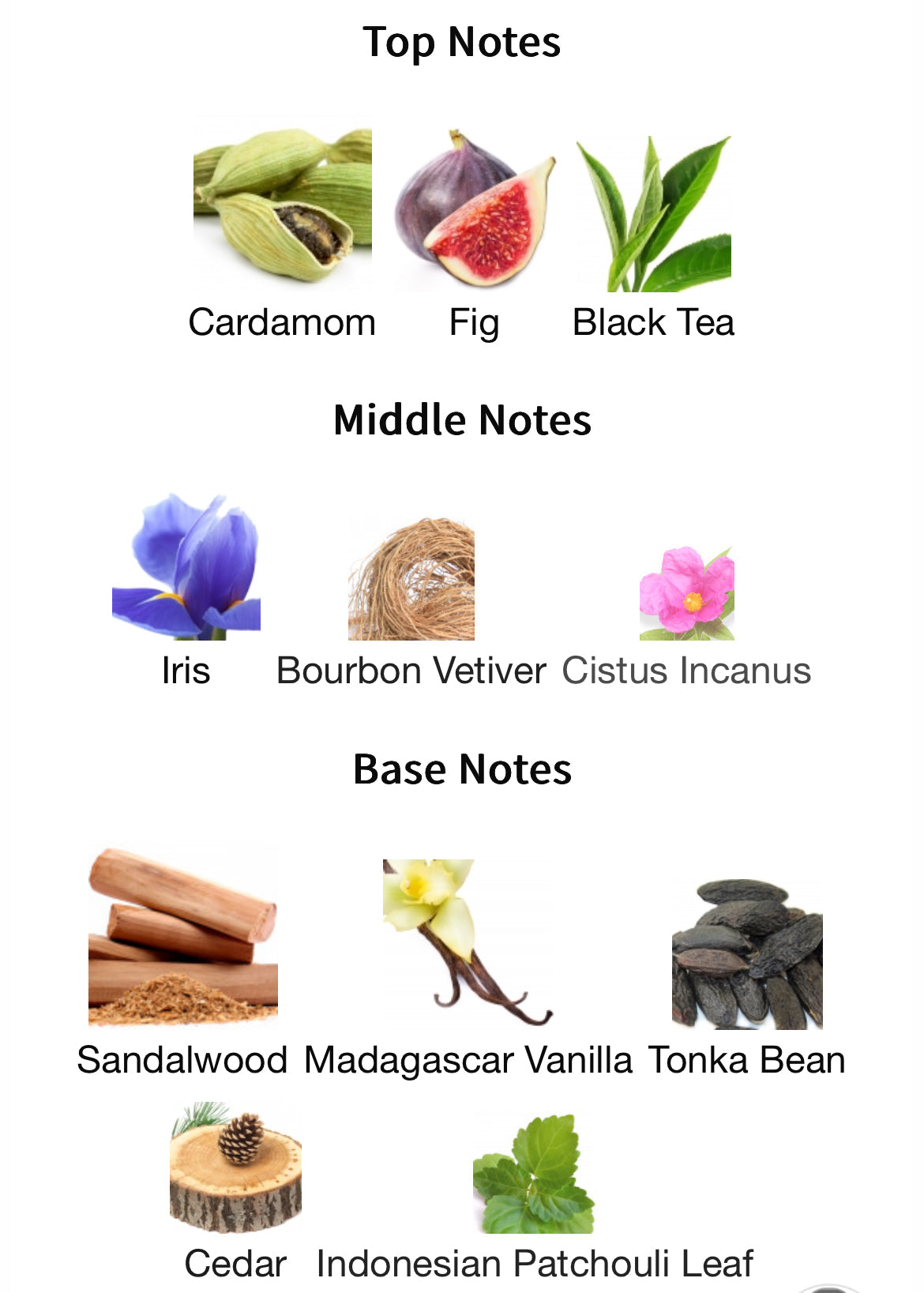 Chart of top, middle, and base notes with corresponding images and names on a white background.