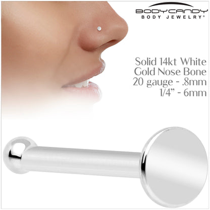 20G Solid 14k Gold Flat Disc Nose Bone