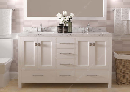 Caroline Avenue 60" Double Bath Vanity