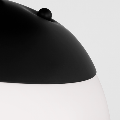 Leo Hanging Globe One Light Wall / Ceiling Semi-Flush Mount