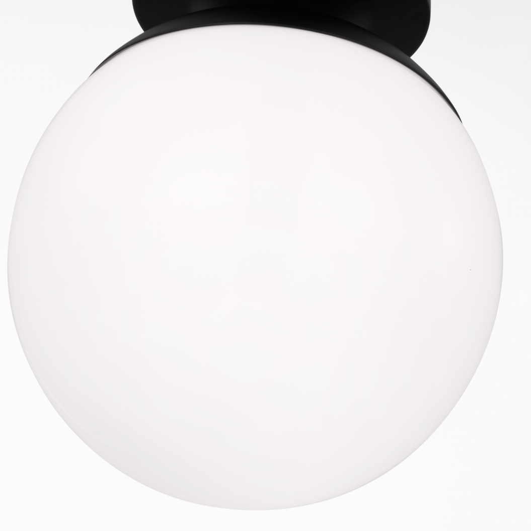 Leo Hanging Globe One Light Wall / Ceiling Semi-Flush Mount