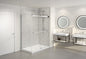 Gemini 2 sided Shower Door