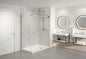 Gemini 2 sided Shower Door