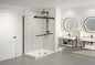 Gemini 2 sided Shower Door