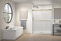 Gemini In-line Shower Door