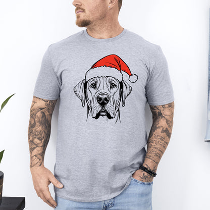 Great Dane, Santa, Dog, Christmas, Dog Lover, Pet T-Shirt Comfort Colors T-Shirt