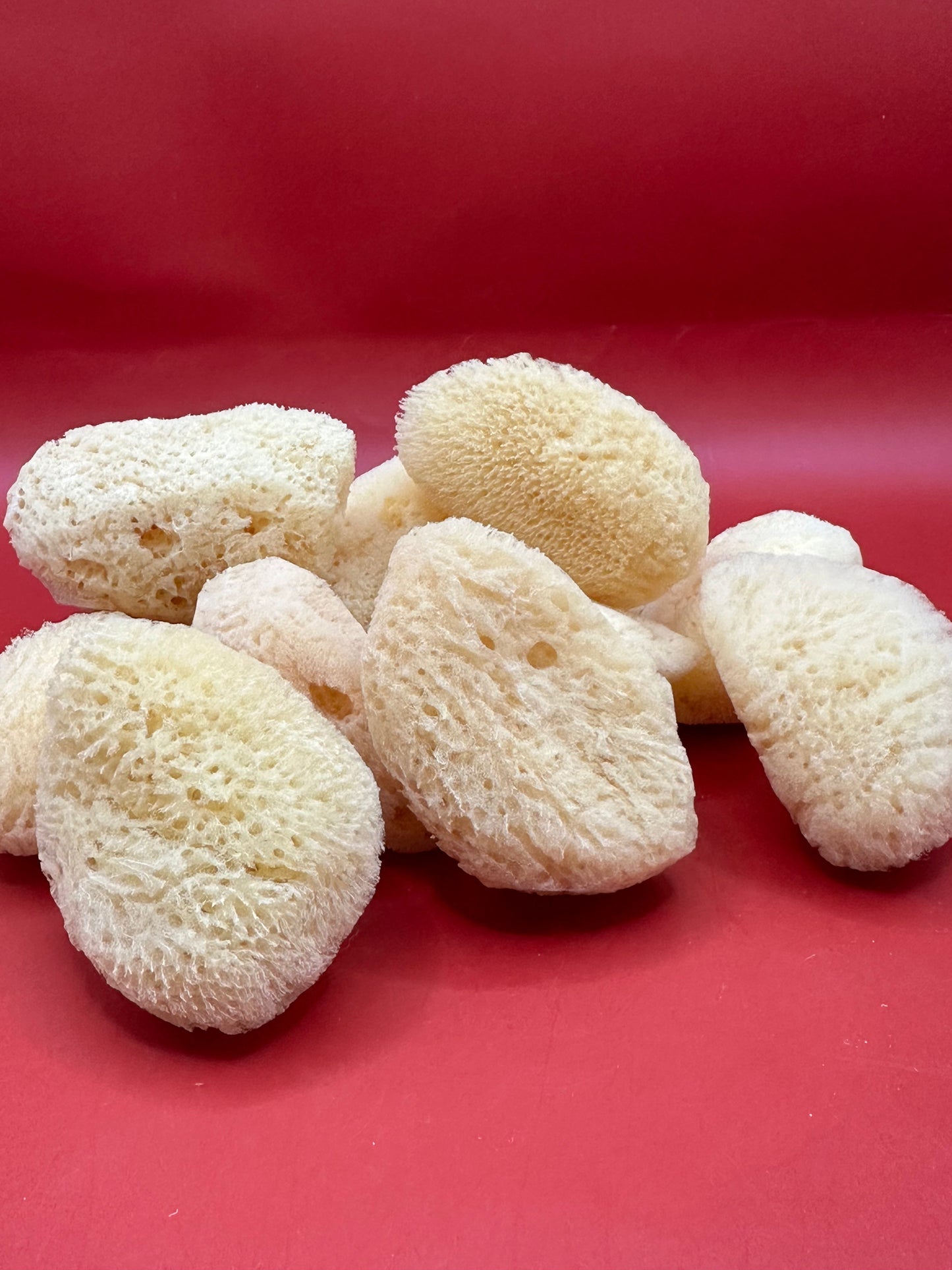 Natural Cosmetic Sea Sponge – 2–2.5"