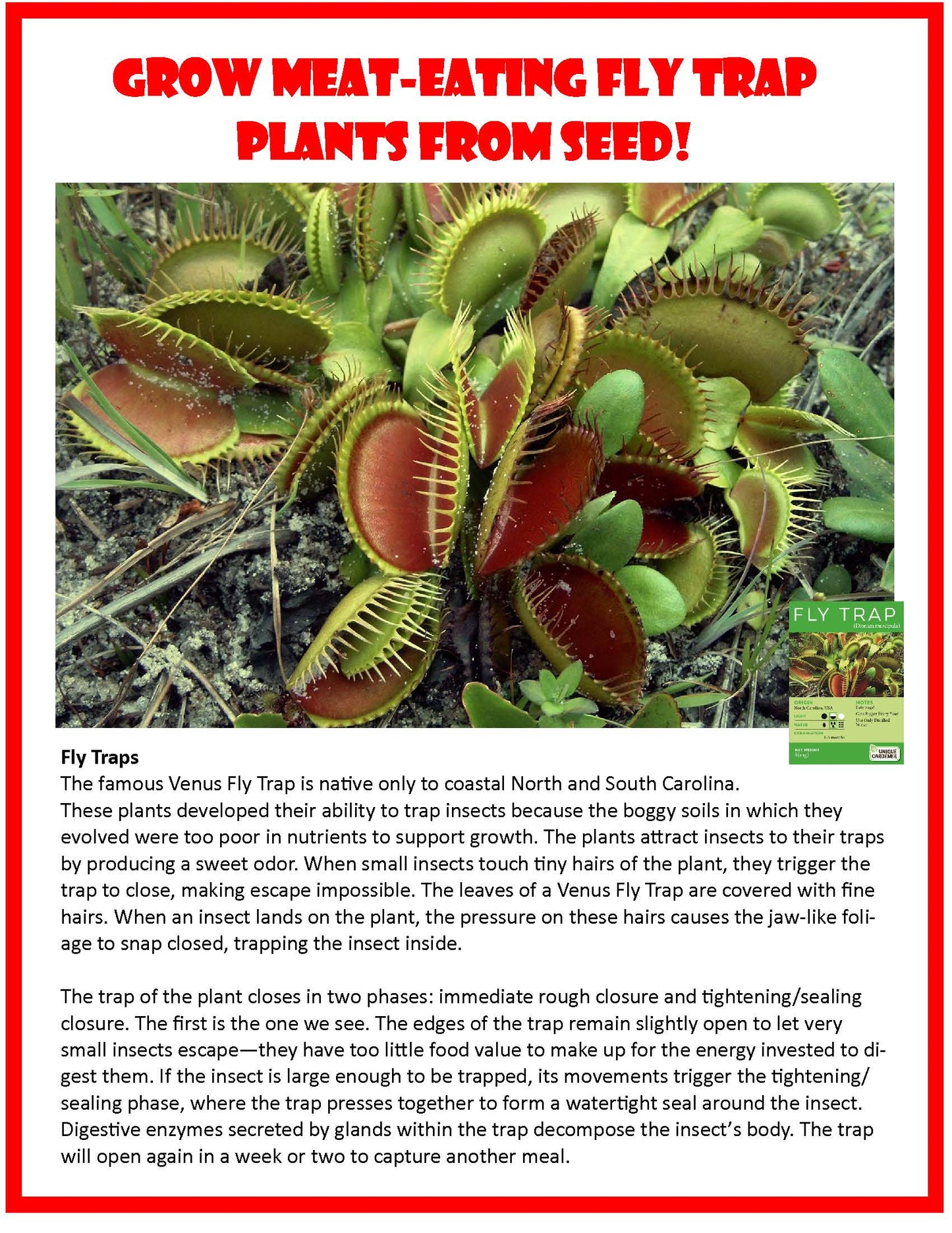 The Meat Eating Mouse Garden Glass Terrarium with Cork