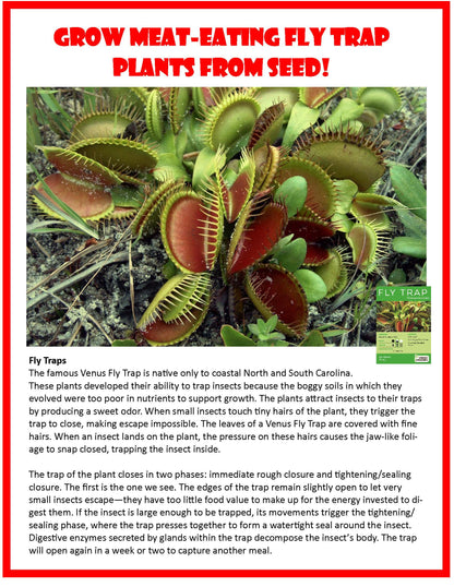 Flytrap Garden Glass Terrarium Seed Starting Kit