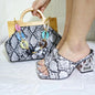 Matching Women Shoe and Bag Set HJL1-13