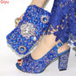 Women Shoes and Bags To Match Set Italy HJL1-2