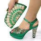 Italian Shoes and Bag Set HLO1-28