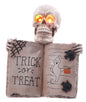 17" Glow Skull With Book
