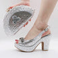 Italian Shoes With Matching Bags Set HKV1-8