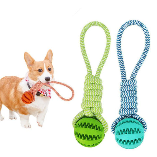 Durable Rubber Ball Chew Toy with Cotton Rope | Family Pet | Kitchen + Metal