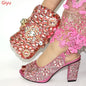 Women's Shoes and Bags To Match Set