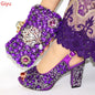 Women Shoes and Bags To Match Set Italy HJL1-2