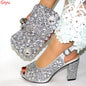 Women Shoes and Bags To Match Set Italy HJL1-2